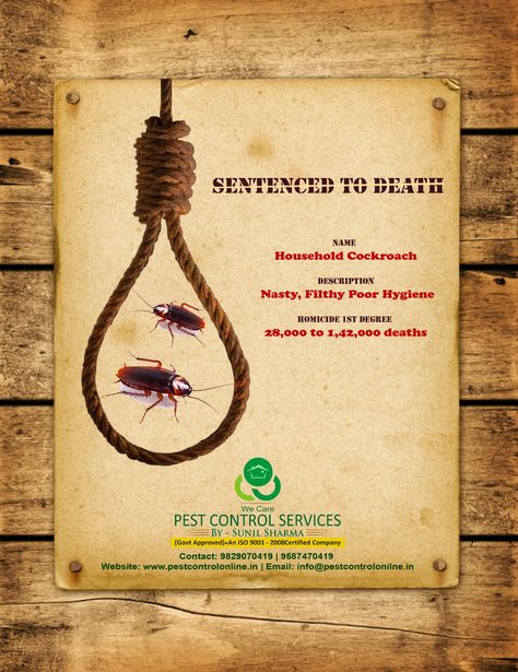 Pest Control Services Poster, Pest Control Logo, Bubble Tea Flavors, Tea Flavors, Car Advertising Design, Bird Netting, Rodent Control, Best Pest Control, Bug Control