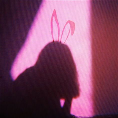 Bunny Girl Aesthetic, Pink Bunny Aesthetic, Pink Egirl Aesthetic, Egirl Vibes, Pink Egirl, Pfp Banner, Bunny Ideas, Aesthetic Egirl, Egirl Aesthetic