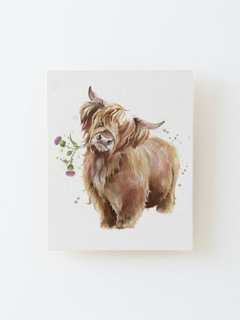 Hiland Cow Painting Easy, Highland Cow Watercolour Paintings, Watercolour Highland Cow, Highland Cow Tattoo Ideas, Highlander Tattoo, Highland Cow Tattoo With Flowers, Scottish Highland Cow Art, Highland Cow Drawing, Highland Cow Watercolour