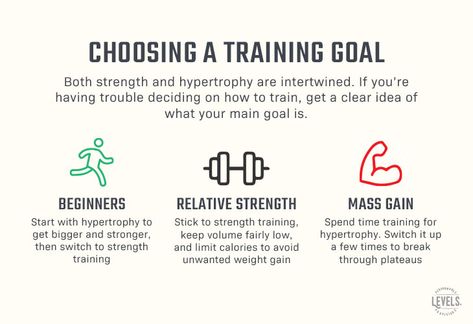 The optimal weight training method varies depending on your goals. How do you choose between hypertrophy and strength training? Beginner Workout For Men, Workout For Runners, Mens Body Types, Personal Trainer Business, Pe Lessons, Doctor On Call, Fitness Design, Beginner Workout, Fat Reduction