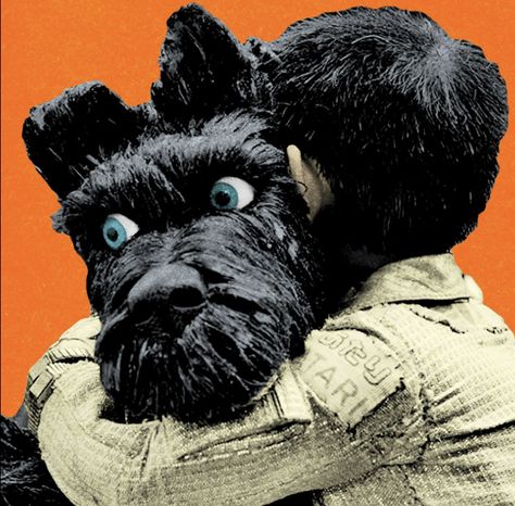 Wes Anderson Icons, Wes Anderson Pfp, Isle Of Dogs Pfp, Movie Icons Pfp, Isle Of Dogs Aesthetic, Film Pfp, Movies Pfp, Pfp Movie, Isle Of Dogs Movie