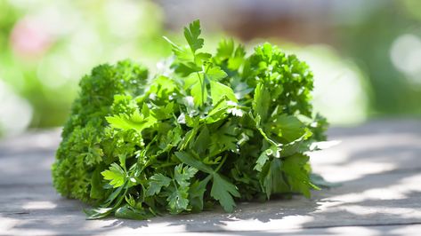 What Is the Difference Between Flat-Leaf Parsley and Curly Parsley? - 2021 - MasterClass Curly Parsley, Parsley Plant, Parsley Pesto, Perfect Eggs, Chimichurri Sauce, Green Sauce, What Is The Difference Between, Spices And Herbs, Asparagus Recipe