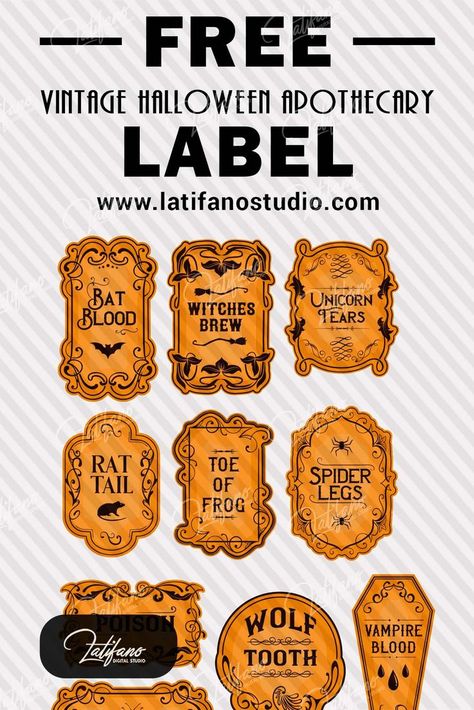 You can use the captivating vintage Halloween art to achieve an enchanting antique apothecary aesthetic or create a chilling poison potion recipe. Let your creativity run wild this Halloween season! Free Halloween Printables Vintage, Halloween Labels Free, Halloween Labels Printable, Vintage Halloween Printables, Halloween Apothecary Labels, Halloween Bottle Labels, Halloween Apothecary, Apothecary Labels, Halloween Printables Free