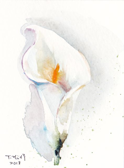 Calla Lilly, Water color on paper Calla Lily Watercolor, Cala Lillies, Arum Lily, Water Colours, Diy Watercolor Painting, Loose Watercolor, Watercolor Flower Art, Calla Lilies, Diy Watercolor