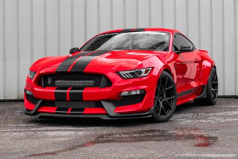 Mustang 350 Gt, Gt 350 Shelby, S550 Mustang Gt, Thar Car, Gt350 Shelby, Shelby Gt 350, Mustang Gt 350, Ford Mustang Shelby Gt350, Mustang Gt350