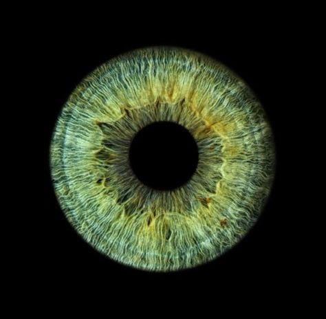 Green Iris Eye, Dark Green Eyes, Jade Eyes, Iris Eye, 3d Wallpaper Cute, Beautiful Summer Wallpaper, Eye Texture, Eyeball Art, Emerald Eyes