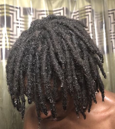 Mens Loc Hairstyles, Full Head Of Locs Men, Full Head Locs Men, Instant Locs Men, Wolf Cut Locs, Mens Locs, Loc Hairstyles For Men, 4c Locs, Locs Men