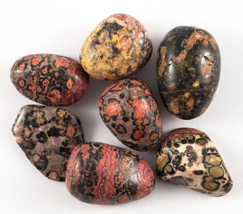 Jasper Meaning, Jasper Rock, Earth Healing, Rock Identification, Leopard Jasper, 2023 Mood, Leopard Skin Jasper, Jasper Color, Bead Inspiration