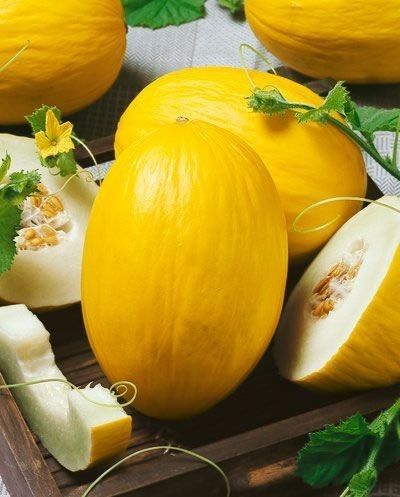 Melon Photography, Melon Musk, Canary Melon, Brunch Salad, Melon Seeds, Seed Packaging, Fruit Photography, Beautiful Fruits, Canary Yellow