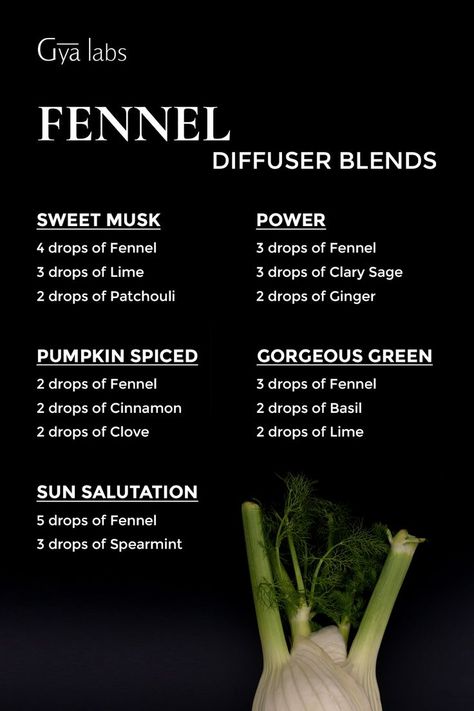 A captivating Pinterest post featuring fennel essential oil blends. Discover the magic of fennel and experience the benefits of these aromatic recipes. 🌿🌸✨ Fennel Diffuser Blends, Essential Oil Roller Bottle Recipes, Fennel Oil, Fennel Essential Oil, Scent Blends, Roller Bottle Recipes, Essential Oil Combinations, Essential Oil Diffuser Blends Recipes, Essential Oil Roller Bottle