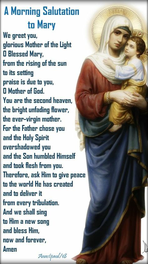 Morning Offering, Catholic Prayers Daily, Blessed Mary, Novena Prayers, Steven Furtick, Evening Prayer, Mama Mary, Miracle Prayer, Good Morning Prayer