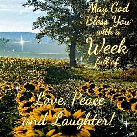 Have A Blessed Monday, Have A Blessed Week, True Love Waits, Good Monday Morning, Blessed Week, Good Night Everyone, Daily Greetings, Monday Blessings, Happy New Week