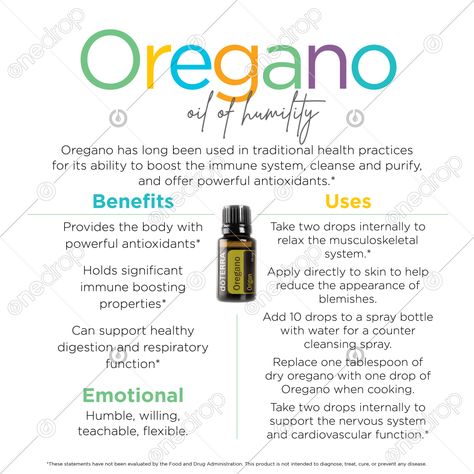 Oregano Uses, Doterra Oregano Oil, Oregano Benefits, Benefits Of Oregano, Doterra Oregano, Oregano Oil Benefits, Beginner Morning Yoga, Happy Homemaking, Oregano Essential Oil