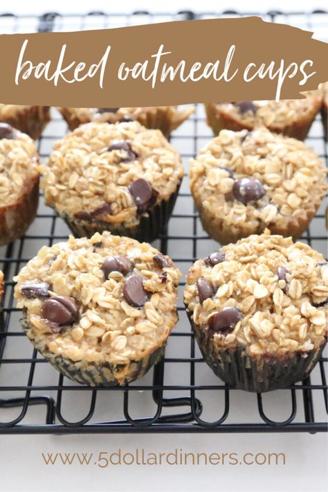 baked oatmeal cups $5 Dinners Low Sodium Freezer Meals, Chocolate Chip Baked Oatmeal, Back To School Breakfast, Baked Oatmeal Cups, School Breakfast, Baked Oatmeal Recipes, Peanut Butter Roll, Oatmeal Cups, Filled Muffins