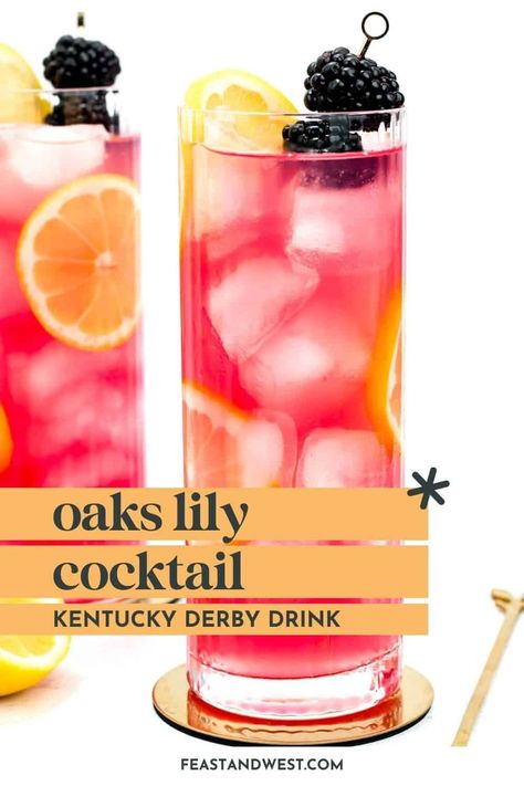 Celebrate springtime with the official cocktail of the Kentucky Oaks race, the Oaks Lily drink. This vodka and cranberry pink drink is worth trying. https://feastandwest.com/2024/04/05/oaks-lily-drink/ Oaks Lily Cocktail Pitcher, Kentucky Oaks Lily Drink, Oaks Lily Cocktail, Kentucky Derby Drinks Cocktails, Kentucky Derby Drinks, Pink Lady Cocktail, Kentucky Derby Recipes, Kentucky Derby Cocktails, Kentucky Derby Food