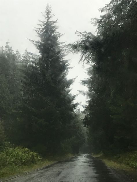 Rain In The Woods Aesthetic, Rainy Path Aesthetic, Esmecore Aesthetic, Foggy Rainy Forest Aesthetic, Deanna Core Aesthetic, Grey Rainy Day Aesthetic, Cloudy Forest Aesthetic, Rain In Forest Aesthetic, Grey Forest Aesthetic