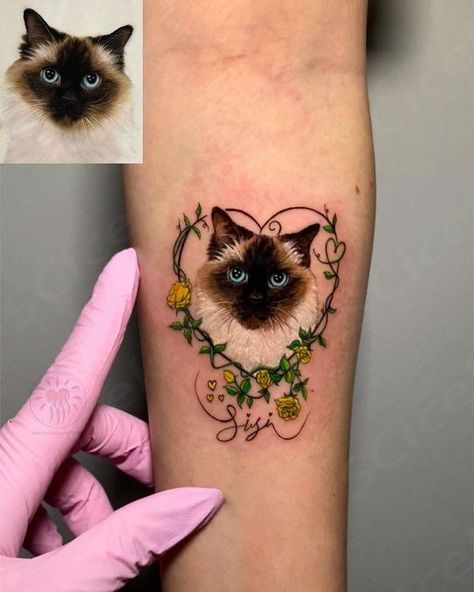 Cat Tattoo Memorial, Cat Tribute Tattoo, Cat Memorial Tattoo, Pumpkin Tattoos, Cat Face Tattoos, Pair Tattoos, Cat Portrait Tattoos, Halo Tattoo, Cute Cat Tattoo