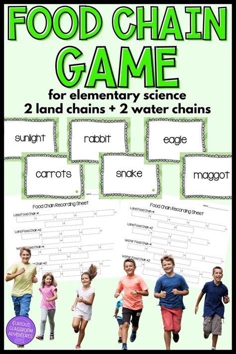 You just finished teaching about life cycles, food chains, and in your science unit so now it's time to have some fun with the interacitve and high energy review game for food chains. This game includes food chains for land and water that start with the sun as the energy source, a producer plant, the animals in the food chain, and ends with a decomposer to make the cycle complete. Capture you kids heart and minds with the fun and engaging game as a little life science test prep and review. Food Chain Game, Science Food Chains, Sequence Game, Animal Lessons, Weather Unit, Food Chains, Kid Experiments, Force And Motion, Science Units