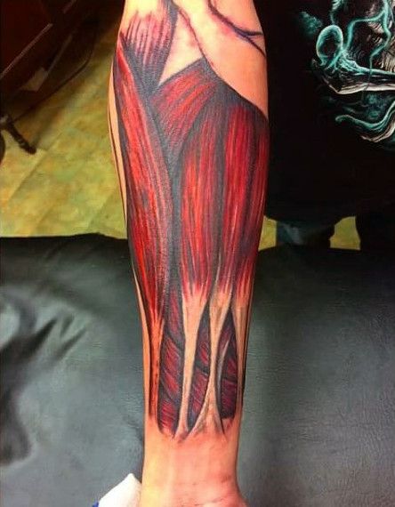 Muscle Fiber Guys Forearm Sleeve Tattoo Inspiration Exposed Muscle Tattoo, Muscle Tattoo Design, Muscle Painting, Sleeve Tattoo Inspiration, Forearm Sleeve Tattoo, Guide Tattoo, Muscle Fiber, Arm Anatomy, Anatomy Tattoo