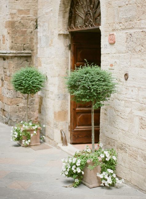 Topiary Wedding, Wedding Venues Italy, Italian Wedding Venues, Church Wedding Flowers, Wedding Ceremony Ideas, Charming Wedding, Wedding In Tuscany, Wedding Sparrow, Tuscan Wedding