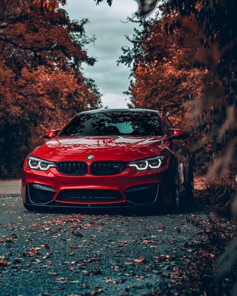 Bmw Red, Carros Bmw, Bmw Wallpapers, Car Hd, Bmw I3, Lux Cars, Bmw Series, New Bmw, Automotive Photography