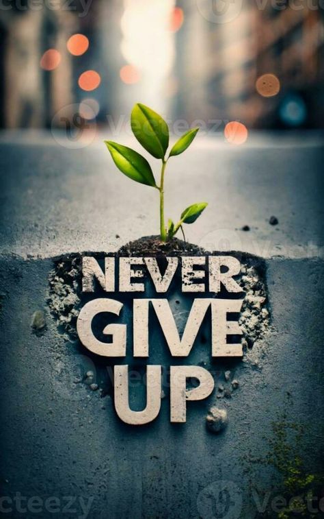 graphics with a  plant and the inscription never give up I Can I Will, Pure Soul, Never Give Up Quotes, I Wont Give Up, Cars Bmw, Here And Now, Don't Give Up, Giving Up, Wallpaper Quotes