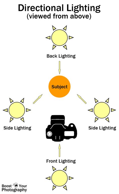 Using Directional Lighting - overview and how to | Boost Your Photography Directional Lighting Photography, Photography Notes, Beginner Photography Camera, Photography Instruction, Front Lighting, Side Lighting, Directional Lighting, Photography Things, Photography Lighting Setup