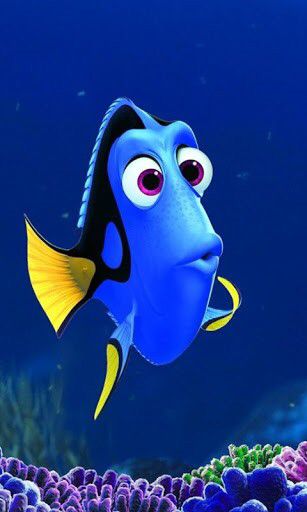 Finding Nemo | iPhone background Pixar Theory, Pop Culture Quotes, Disney Sidekicks, Disney Pixar Movies, Crazy Stuff, Finding Dory, Pixar Movies, Finding Nemo, Disney Quotes