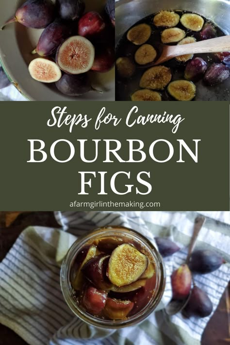 Preserving Figs, Canning Figs, Drunken Fruit, Figs Recipes, Fig Ideas, Fig Preserves Recipe, Fermenting Recipes, Homemade Cheeses, Season Recipes