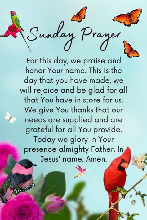 Hello Sunday Quotes, Morning Prayer For Family, Sunday Prayers, Sunday Bible Verse, Sunday Morning Prayer, Blessed Sunday Quotes, Blessed Sunday Morning, Inspirational Morning Prayers, Prayer Pictures