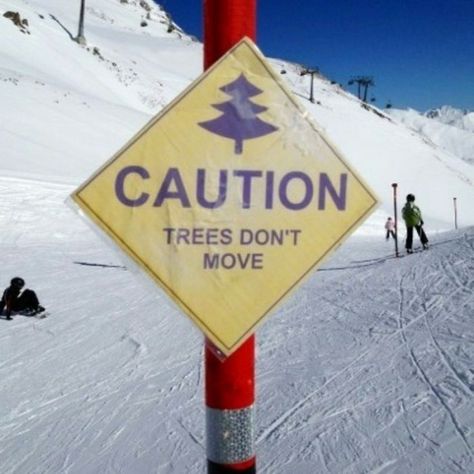 Captain Obvious, You Dont Say, Funny Signs, On The Side, Bones Funny, The Snow, Funny Photos, Snowboarding, I Laughed