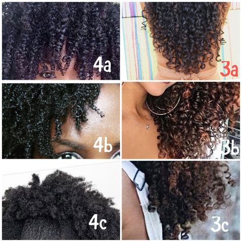 Natural Hair Texture Chart, Type Hair Chart, 4c Hair Chart, Curl Texture Chart, Black Hair Texture Chart, Curly Hair Texture Chart, Hair Chart Type, Types Of Curly Hair Curl Pattern, 4 B Hair Texture