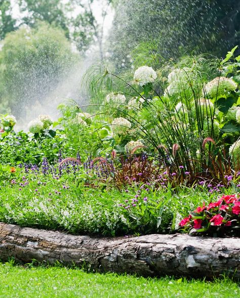 natural log bed edging Landscape Edging Ideas, Stone Edging, Image Rock, Garden Edging Ideas, Landscape Timbers, Brick Edging, Log Bed, Bamboo Shop, Paver Stones