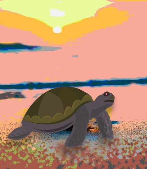 National Turtle Day National Turtle Day, Turtle Day, Graphic Design, Movie Posters, Art, Design, Film Posters