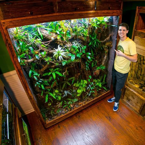 Tanner Serpa on Instagram: “I did some huge updates in the animal room this week to make things a little more hi tech, especially with the 600 gallon vivarium. I'm…” Vivarium Tv Stand, Vivarium Ideas, Large Vivarium, Tarantula Enclosure Ideas Terrestrial, Carnivorous Bog Terrarium, Dart Frog Vivarium, Frog Tank, Castle Project, Snake Tank