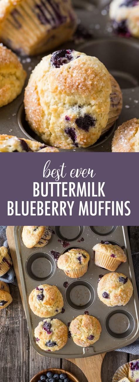 Blueberry Buttermilk Muffins, Buttermilk Blueberry Muffins, Muffins Apple, Buttermilk Blueberry, Buttermilk Muffins, Breakfast Cake Recipes, Best Blueberry Muffins, Blueberry Breakfast Cake, Streusel Muffins