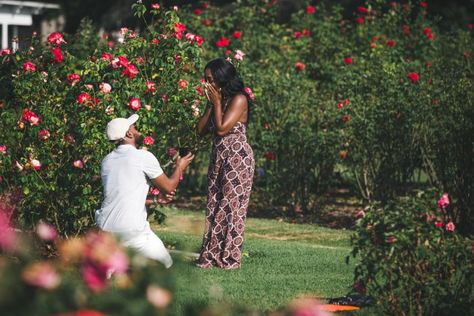 Garden Proposal, Beautiful Rose Garden, Best Wedding Proposals, Romantic Proposal, Marriage Proposal, Proposal Engagement, All Things Cute, Future Plans, Marriage Proposals