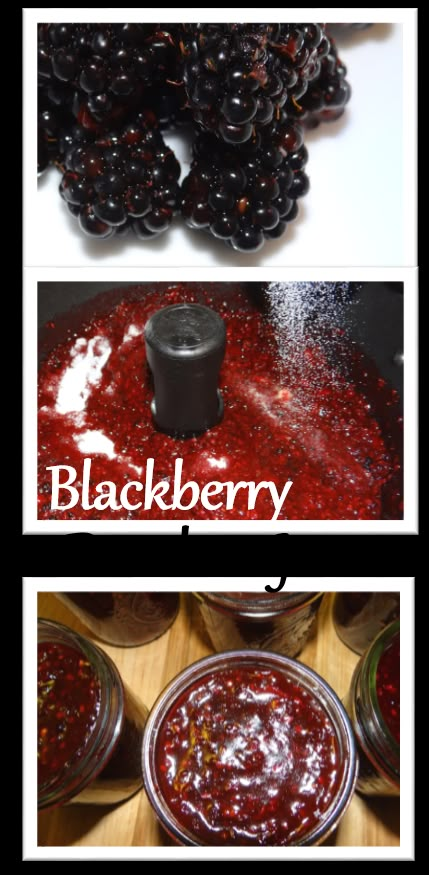 Wild Blackberry Bourbon Jam #Recipe (includes a FreshTECH Tutorial) Jam Maker Recipes, Ball Fresh Tech Jam And Jelly Maker Recipes, Jelly Maker, Jam Maker, Blackberry Recipes, Canning Jam, Jam And Jelly, Vegetable Drinks, Jelly Recipes