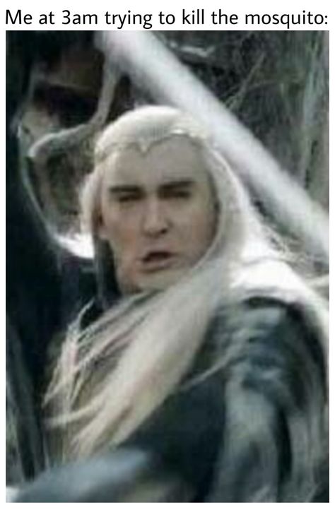 Thranduil Funny, Lotr Funny, Thranduil, Legolas, Ozzy Osbourne, Cute Cows, Middle Earth, Really Funny Memes, Tolkien