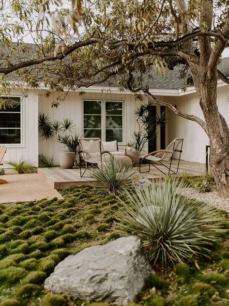 How People Are Really Using Their Front Yards in 2024 Front Yard Lounge Area, Mid Century Landscaping, Front Courtyard, Front Yard Design, Front Yards, Front Landscaping, Desert Homes, Front Lawn, Backyard Inspo