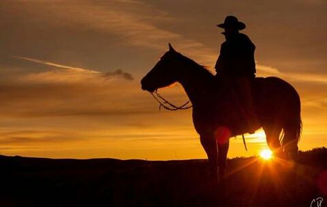 Lone rider ,cowboy at the sunset Lone Rider, Savory Dishes, The Sunset, Cowboy, Horses, Lifestyle, Animals