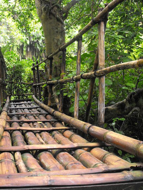 Bamboo Bridge Design, Panda Backdrop, Bamboo Playground, Garden Bridge Ideas, Bamboo Bridge, Outdoor Staircase, Bridge Ideas, Fantasy Inspo, Small Bridge