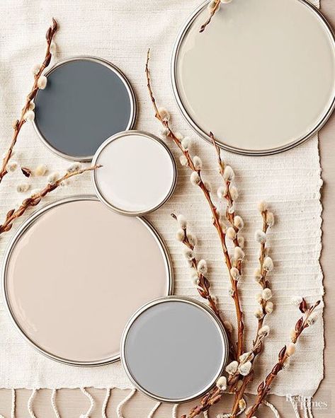 Neutral color palette, wheat cream and grey, scandinavian-color-palette Popular Paint Colors, Neutral Paint Color, Neutral Paint Colors, Grey Paint Colors, White Paint Colors, Neutral Paint, Bedroom Paint Colors, Interior Paint Colors, Calming Colors