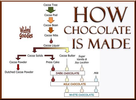 Food Myths, History Of Chocolate, Chocolate Work, Types Of Chocolate, Baking Tutorial, Mexican Hot Chocolate, Cocoa Nibs, Chocolate Day, Modeling Chocolate