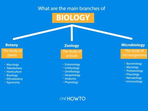 Health Science Projects, Marine Biology Degree, Things To Research, College Biology, Branches Of Biology, Biology College, Learn Biology, Plant Physiology, Library Skills