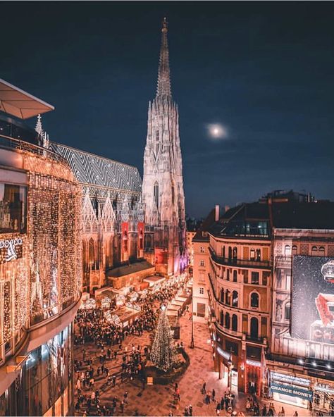 12k Likes, 74 Comments - Vienna 🇦🇹 (@vienna_austria) on Instagram: “Christmas spirit in Vienna’s city center 🌟🎄 📸 @christian_kremser #vienna_austria” Australia Aesthetic, Schönbrunn Palace, Mykonos Island, Cities In Europe, Instagram Christmas, Composers, Vienna Austria, City Center, Amazing Destinations