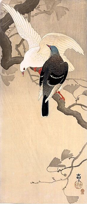 "Two doves in Ginkgo tree", Koson Ohara (1877-1945) - 1920s. — at Bridgeman Art Library, NY.: Ginkgo Branch, Pigeon Art, Two Doves, Ginkgo Tree, Art Chinois, Ohara Koson, Asian Painting, Eastern Art, Art Japonais