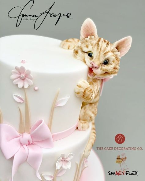 Beautiful Cake Designs, Animal Cakes, Dog Cakes, Cake Decorating Designs, Cat Cake, Crazy Cakes, Cute Birthday Cakes, Special Cake, Cake Decorating Tutorials