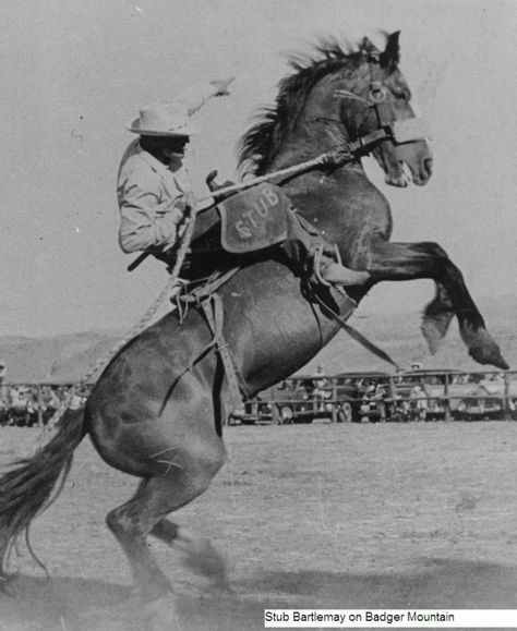 Stub Bartlemay a world's champion saddle bronc rider Cowboy Horse Riding, Bronc Horse, Cowboy On Horse Reference, Horse Bucking, Horse Bucking With Rider, Cowboy With Horse, Saddling A Horse, Horse Appaloosa, Cowboy On A Horse