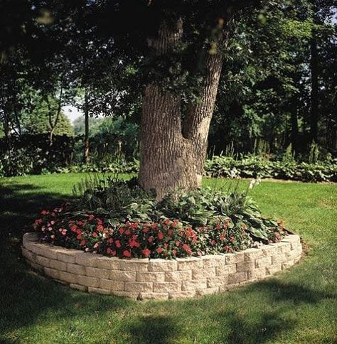 Landscaping Around Trees, Tree Ring, Outdoor Decor Backyard, Tree Roots, Garden Edging, Garden Landscape Design, Garden Borders, Patio Stones, Flower Bed